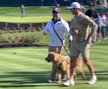 A dog on the course? Billy Horschel sponsors K9s for Warriors service dog