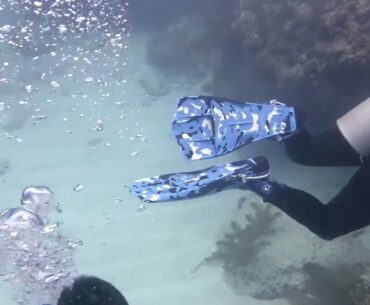 Dressel Divers Riviera Maya Playa del Carmen and Vidanta golf resort deal March 2025  Rentals now