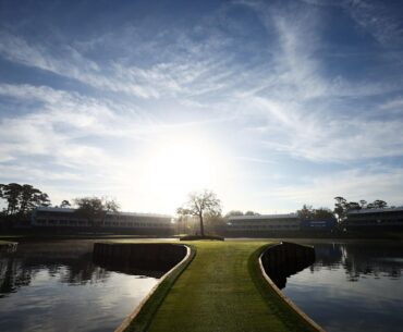 How many golf balls have gone in the water at the 17th hole at TPC Sawgrass over the years?