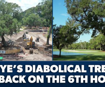 Relocating a 500,000-pound tree at TPC Sawgrass | THE PLAYERS Championship