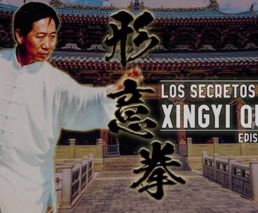 Los SECRETOS de XINGYI QUAN - Ep.01 #xingyiquan #gongfu  #kungfu