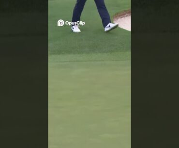 Tiger vs. Molinari_ EPIC Golf Showdown! #golf