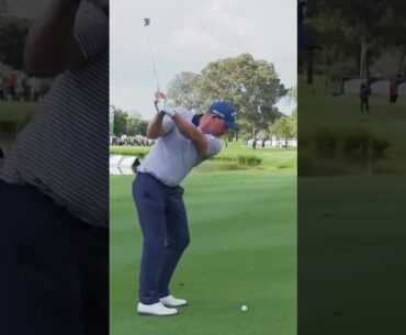 Shaun Norris Iron Swing Down the Line 2025 #golfswing #dpworldtour #shaunnorris