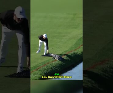 The Most Unexpected and Funny Moments in PGA History