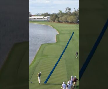 Par save of the year?! 😱