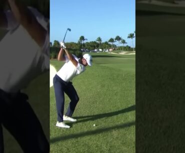 Davis Riley Iron Swing Down the Line 2025 #golfswing #pga #davisriley