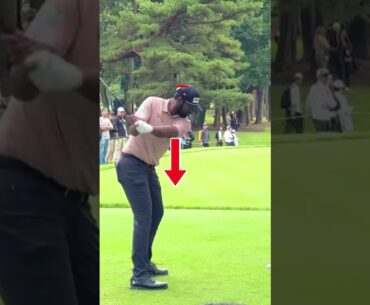 🏌️‍♂️ Sahith Theegala DRIVER SWING slowmotion