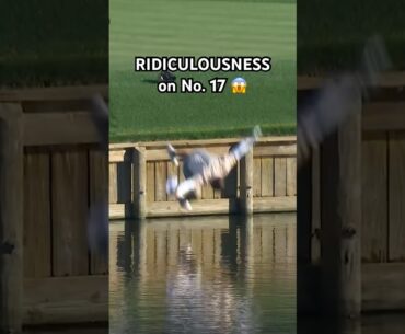 INSANE shot. Even better reaction.