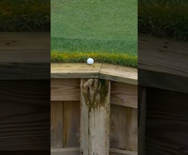 Golf can be cruel 😔