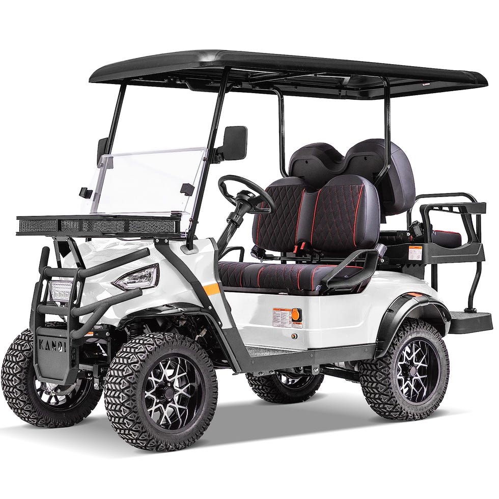 4 Passenger Electric Cruiser 