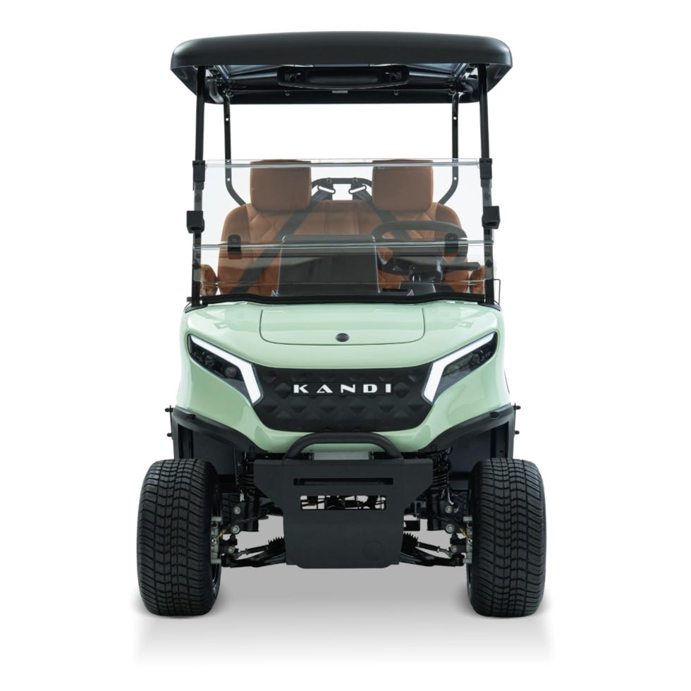 2P Electric Golf Cart 