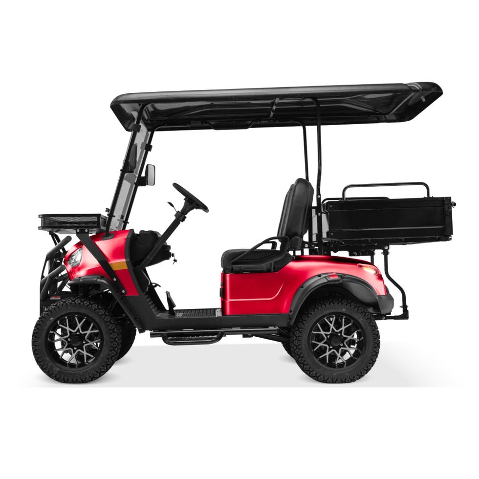 2 Passenger Electric Cruiser 