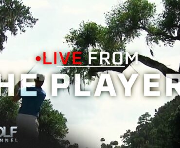 TPC Sawgrass adds new tree on sixth hole to return charm | Live From The Players | Golf Channel