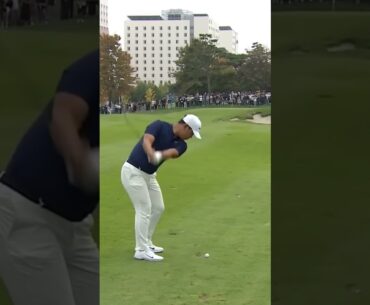 Tom Kim Wedge Shot Down the Line #tomkim  #dpworldtour #golfswing #golf