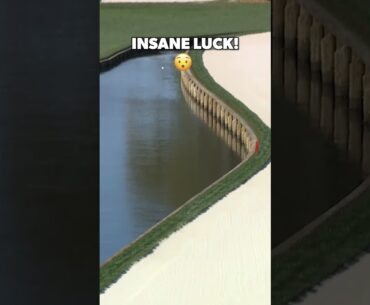 Fat Perez gets LUCKIEST break! 😱