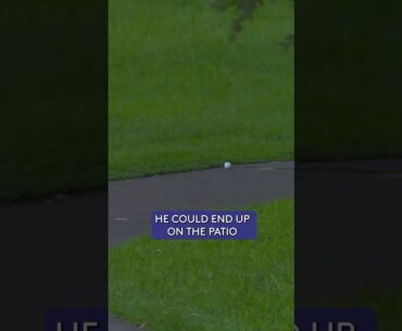 Golf ball keeps rolling down cart path 👀