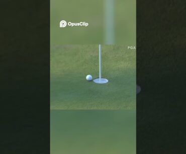 Harry Hall's Unbelievable First PGA Tour Win! #golf #pga #golflife #pgatour #progolf #sports