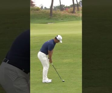 Tom Kim Chip #tomkim #dpworldtour #golfswing #golf