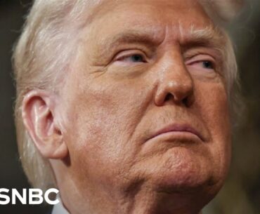 'No president has ever gone this far': Trump blasted for threatening judges