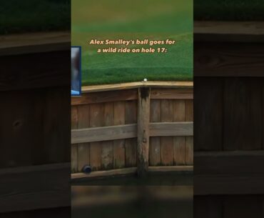 Alex Smalley’s shot on Hole 17 at TPC Sawgrass during The Players major golf tournament!