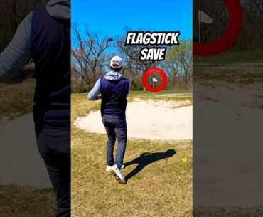 Nice Catch Flag ✅ #golf #golfer
