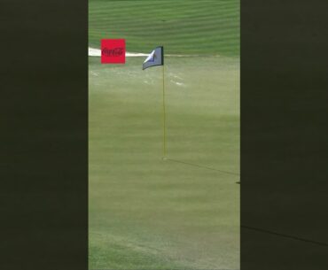 GrilloEmiliano makes the 12th hole-in-one ever on the famous16th hole! #golf