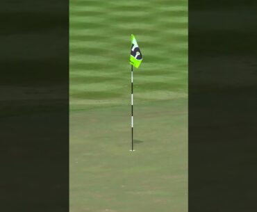 Graeme McDowell holes out from the bunker! GMac in contention during the final round in Hong Kong
