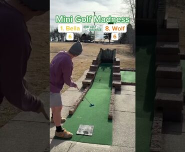Ohh noo… Mini Golf Madness Round 1, 1. Bella vs 8. Wolf 18 holes (Hole 4) #golf #minigolf #viral