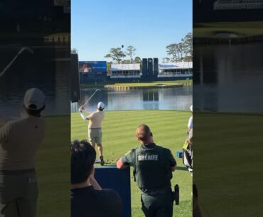 Alejandro Tosti Hole in One | TPC Sawgrass | 17th Hole #zachriddlegolf #pgatour #tpcsawgrass #golf