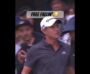 Collin Morikawa With An Epic Out | #golf #pga #golfaddict #funnygolf #golfshot #golfswing