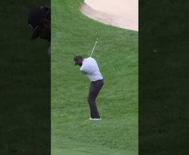 Sahith Theegala Pitch 2025 #theegala #pgatour #golftechnique #golf