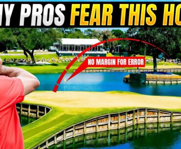 The 17th Hole at Sawgrass: Golf's Most Feared Par 3 EXPOSED!