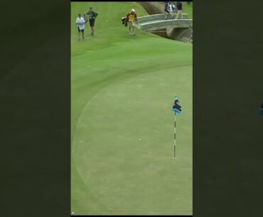 You don't see this kind of touch around the green too often.
