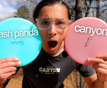 YOU NEED THIS DISC IN YOUR BAG: The Canyon