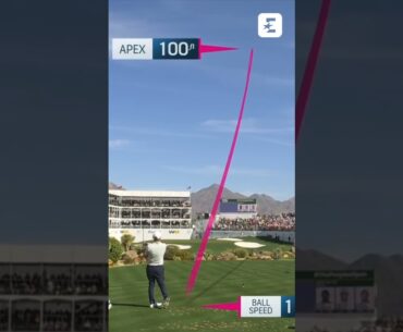 Grillo con l'hole-in-one fa impazzire il pubblico del WM Phoenix Open ⛳️🤯