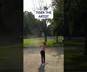 Two CRAZY Tiger shots 🤯