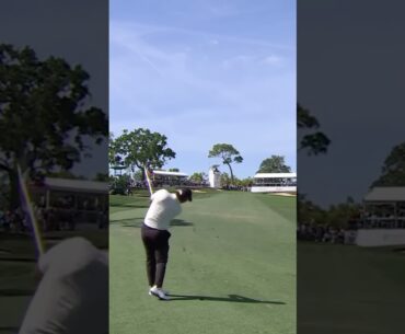 Byeong Hun An Iron Shot Down the Line 2025 #byeonghunan #pgatour  #golfswing #golf