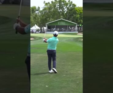 Roy Hisatsune Wedge Swing 2025 #pgatour #golfswing #golftechnique #golf #RyoHisatsune