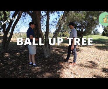 Ball Up Tree - Golf Rules Explained