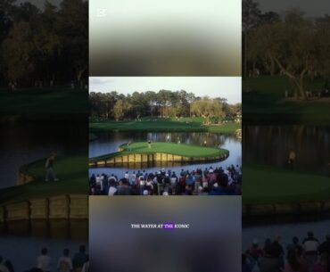 A golfer’s ball took an incredibly long and winding path before  #news #shorts