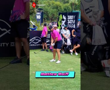 하지 말라는건 다하는 매튜울프 독특한 골프스윙