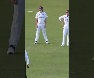 Marnus invents a new fielding position! 😅 #SheffieldShield