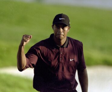 Bubba Watson makes controversial Tiger Woods claim with verdict on Scottie Scheffler's 2024 season
