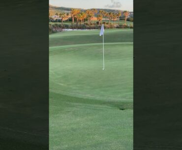 kid almost makes hole in one! #shorts #short #shortvideo #golf #holeinone #cabo