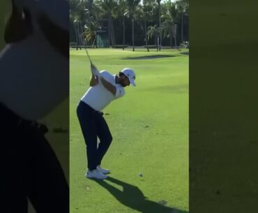 Davis Riley Wedge Swing Down the Line 2025 #golfswing #pga #pgatour #davisriley