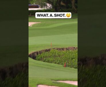 🚨 HOLE OUT! What a shot by Ben Campbell! 😲 #liv #livgolf #golf #golfer #golfswing