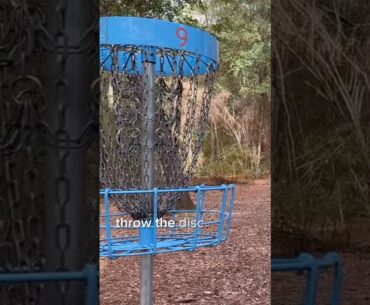 Disc Golf Rules Explained for Beginners!