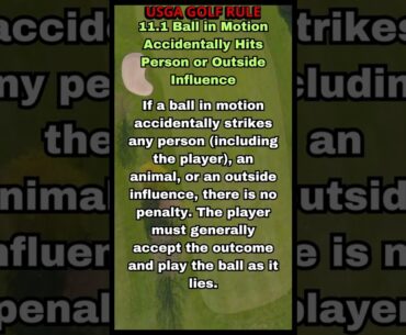 USGA GOLF RULE 11 1 BALL IN MOTION ACCIDENTALLY HITS PERSON