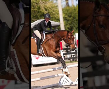 12-24 eq, taylor harris and childrens for this weekend!!!