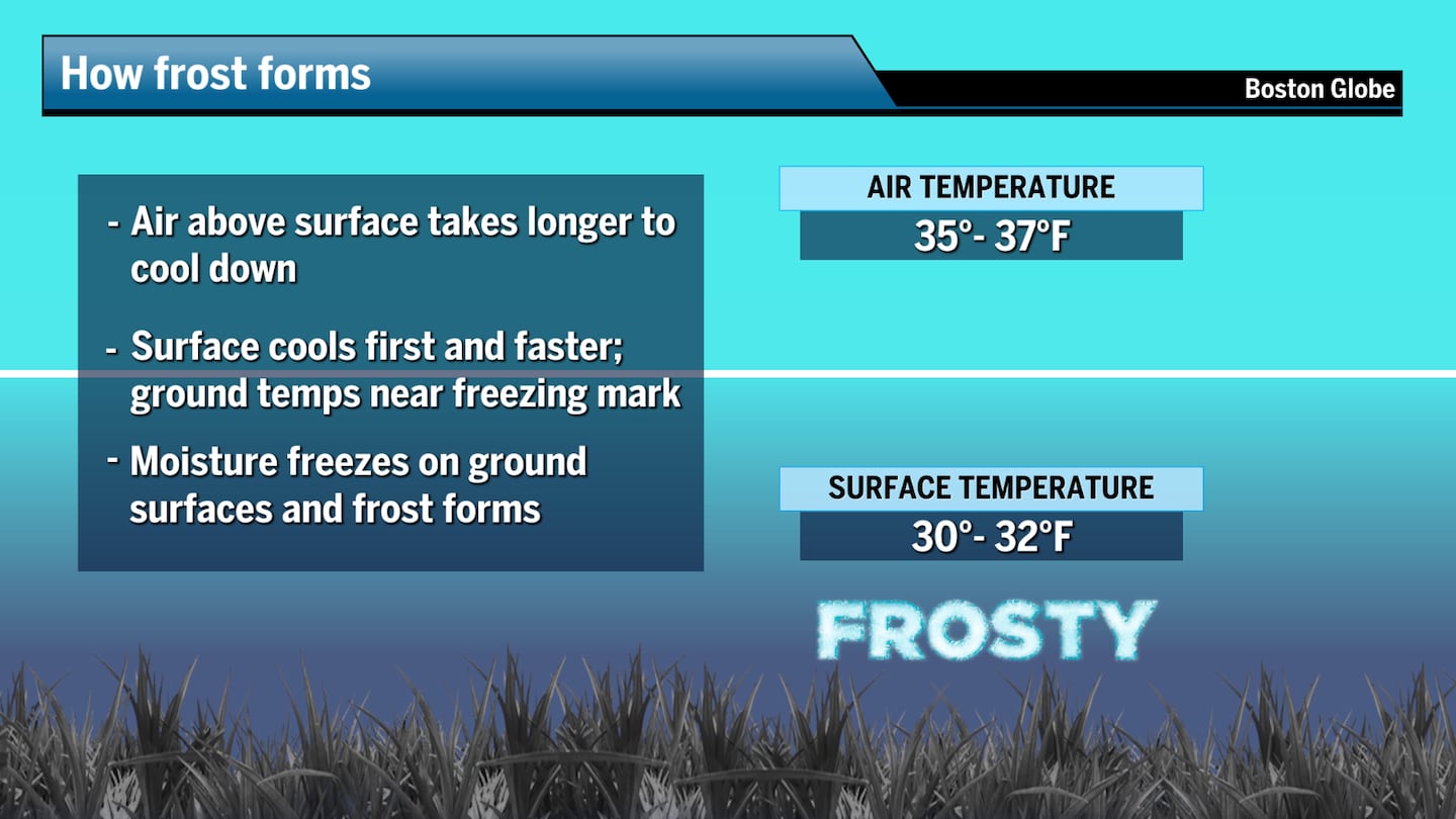Frost occurs when the ground temperature reaches freezing (32 degrees) and moisture freezes. With grass, moisture freezes within and on the blades.